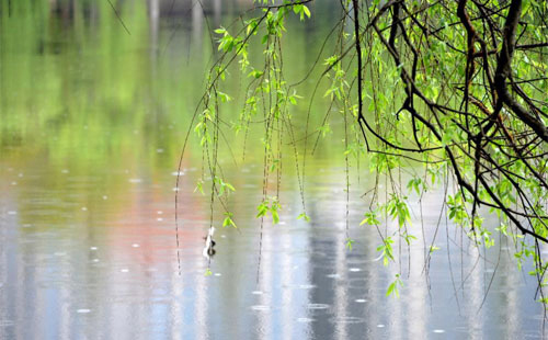 雨中的守护者 —— 天祝珍珠棉的应用实践 雨中的守护者 —— 天祝珍珠棉的应用实践